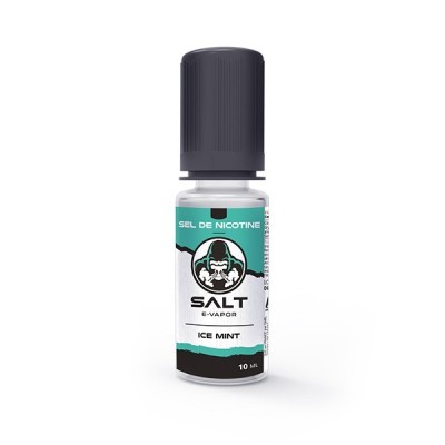 Flacon de e-liquide Salt E-Vapor Ice Mint, nicotine sel, 10ml, saveur menthe glacée
