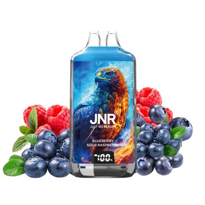 Bouteille JNR blueberry sour raspberry avec image d'aigle, entourée de fruits rouges