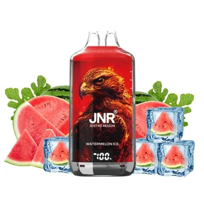 Boisson JNR Watermelon Ice avec image d'aigle, pastèque fraîche et glaçons Boisson JNR Watermelon Ice avec image d'aigle, pastèque fraîche et glaçons