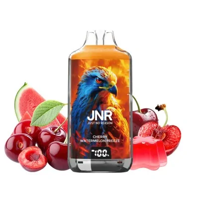 Cigarette électronique JNR avec liquide aromatisé cerise et pastèque, fruits frais Cigarette électronique JNR avec liquide aromatisé cerise et pastèque, fruits frais