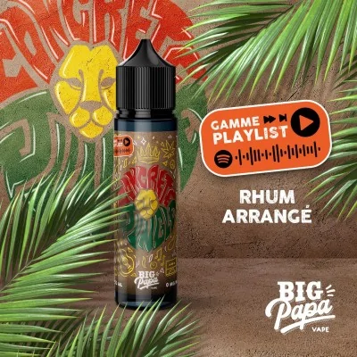 E-liquide Rhum Arrangé Big Papa Concrete Jungle, bouteille et décor tropical, playlist Spotify